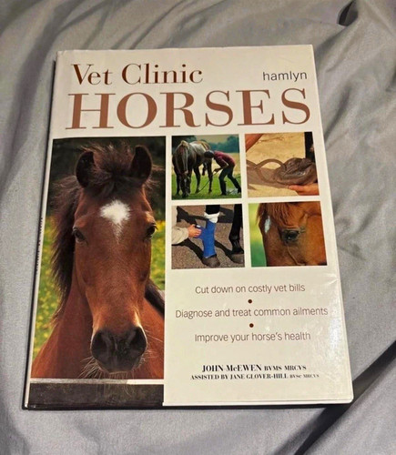 Hamlyn vet clinic horses - clinic,