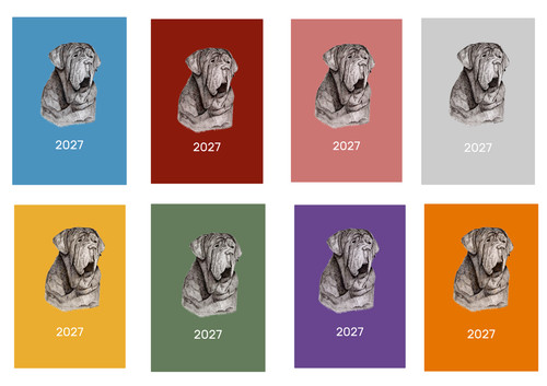 Neapolitan mastiff 2027 - neapolitan, diary