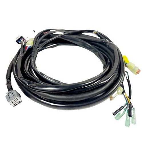 Main wiring harness - wiring,