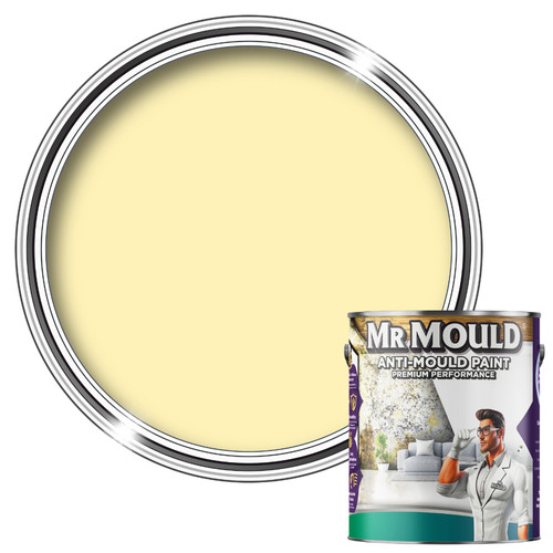 Anti mould wall paint light - anti,