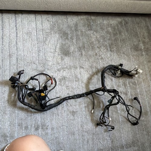 Full harness cagiva - harness,