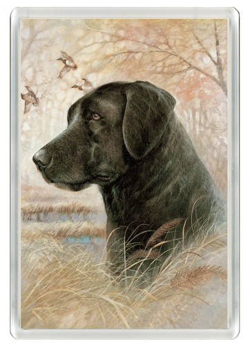 Labrador retriever dog fridge - labrador,