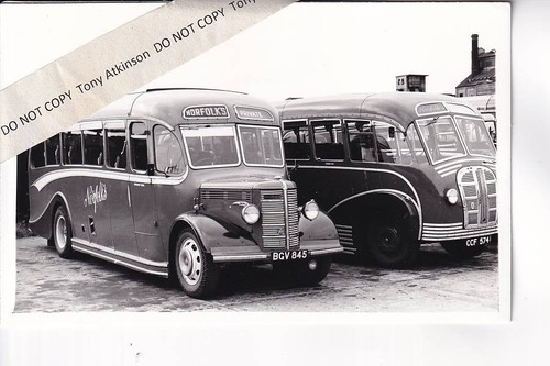 Norfolks nayland bedford - -, /