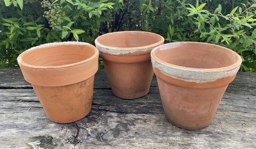 Vintage terracotta plant - vintage,