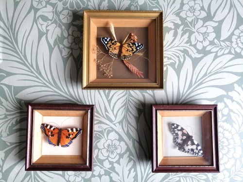 Vintage rather unusual framed - rather,