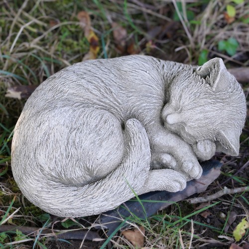 Large sleeping cat - cat, stone