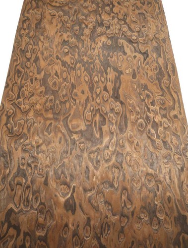 Claro walnut root - walnut, veneer