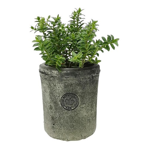 Kew gardens pot grey - kew,