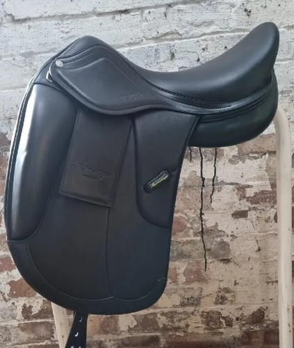 New amerigo vega dressage - amerigo,