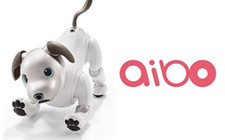 2022 New Sony New AIBO ERS-1000 Entertainment Robot Dog Ivory White JAPAN