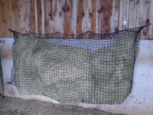 Slow feeder hard - hard, wearing