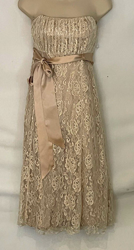 Debenhams debut champagne - debenhams,