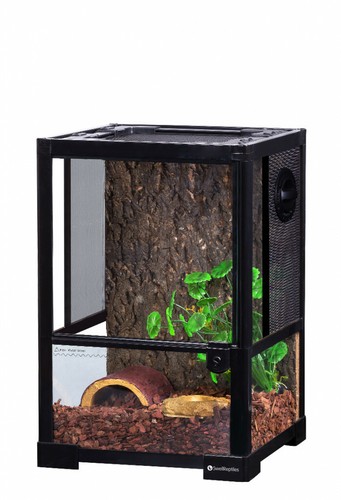 Swell glass terrarium for - glass,