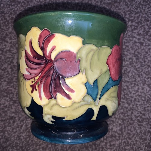 Vtg moorcroft hibiscus green - moorcroft, 'hibiscus'