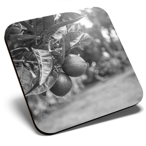 Square single coaster - single,