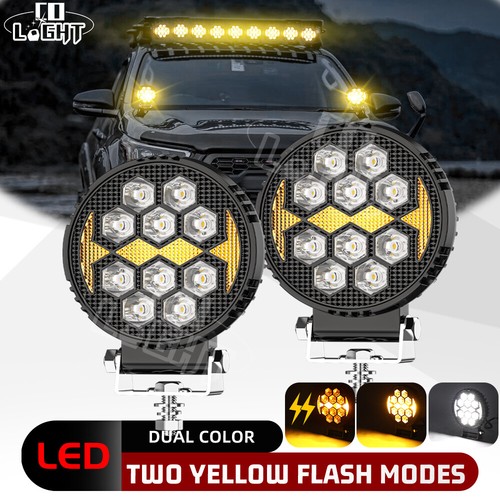 Powerful 27w front - front, bull