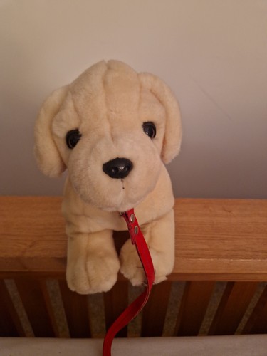 Keel plus soft toy - plus, labrador