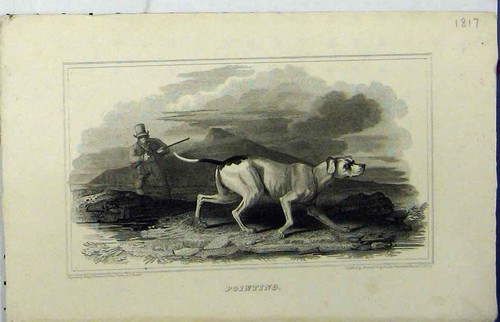 Original old antique print - original,