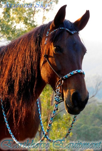 Brow bitless bridle riding - brow,