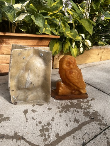 Latex and fibreglass mould - fibreglass,
