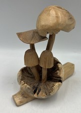 Mushrooms Toadstools Group of