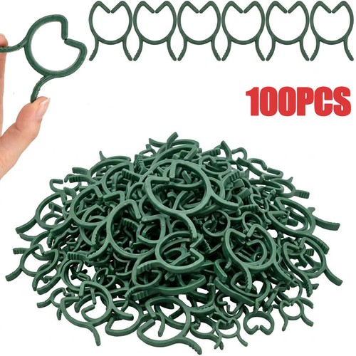 100x tomato climbing - 100x, plant