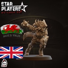 Fantasy Football Female Pirate