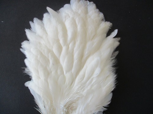 Genetic hen saddle white capes - genetic,