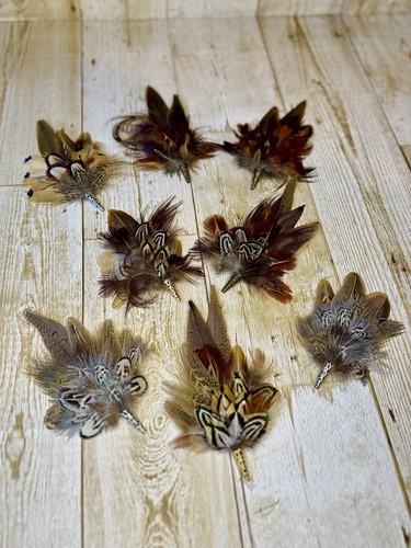 Feather hat pins - and, brooches