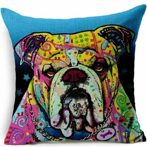 English bulldog mastiff bully - english,