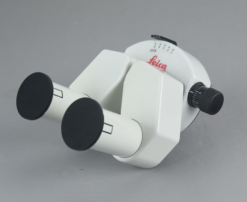 Leica microscope binocular - microscope,