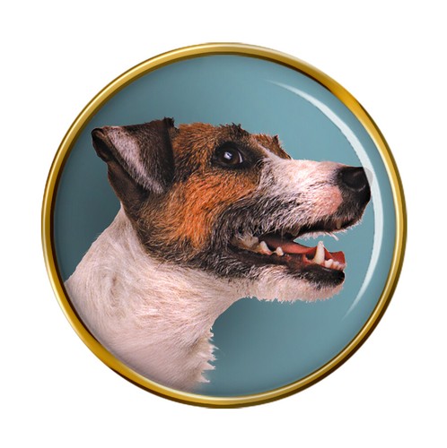 Jack russell terrier dog - jack, lapel