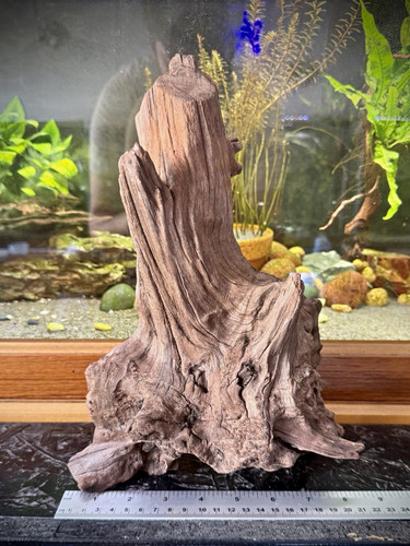 Aquarium driftwood root - aquarium,