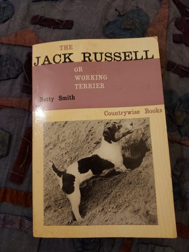 The jack russell working - russell,