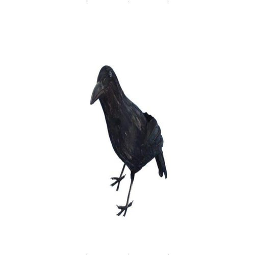Smiffys crow black - smiffys, crow,