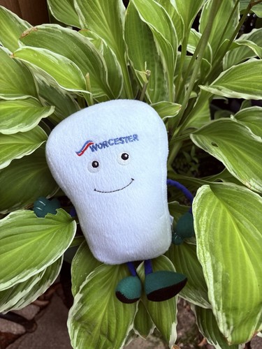 Worcester bosch plush toy - worcester,