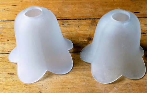 Frosted glass tulip - glass,
