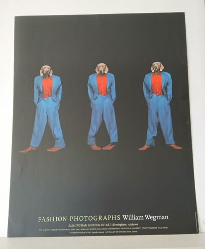 Weimaraners dog william wegman - weimaraners,