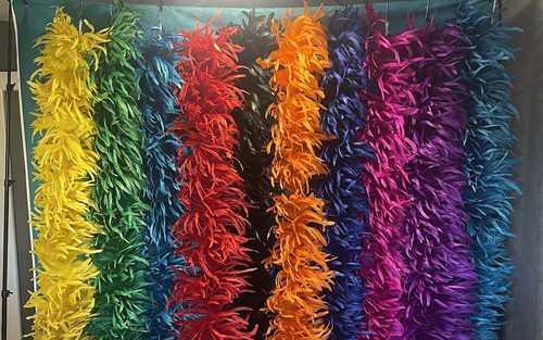 Feather boas rooster coque - feather,