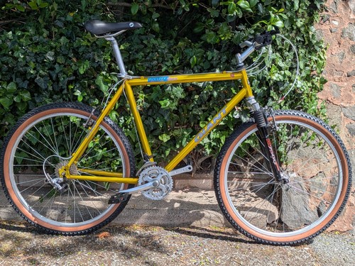 Giant boulder mountain bike - giant,
