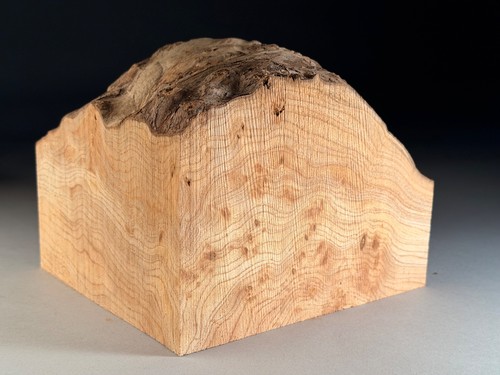 Spalted live edge burr - live, elm
