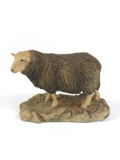 Rare Border Fine Arts Herdwick Ewe Sheep Model Figurine - Ayres 1990