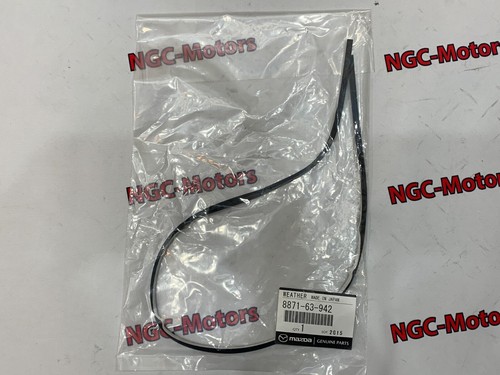 Oem side window dam - side,