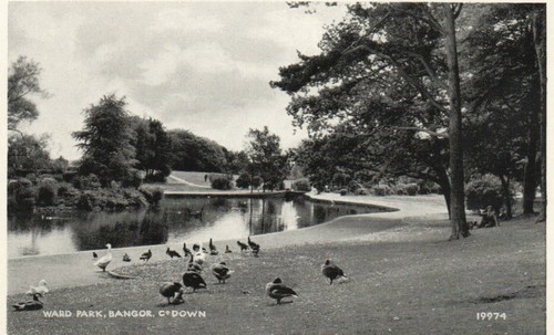 Ward park bangor down - park, co.