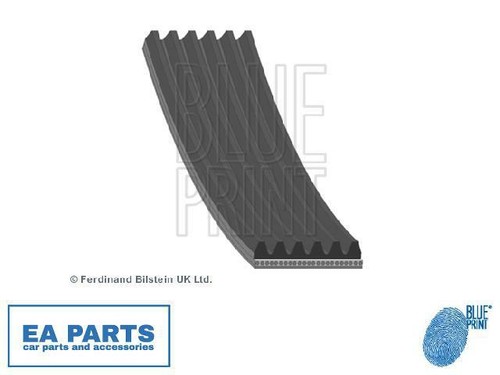 Ribbed belts for alfa romeo - for,