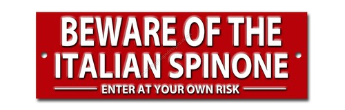 Beware the italian spinone - italian,