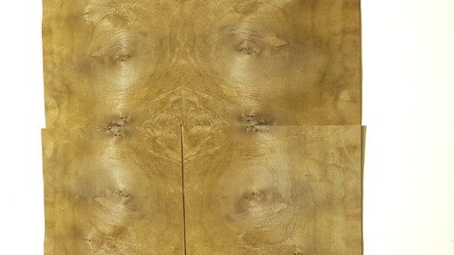 Walnut burr veneer - walnut,