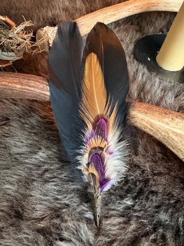 Smudging feather fan - smudging,