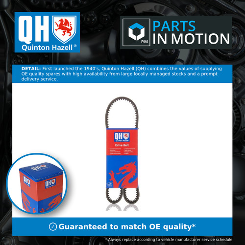 Drive belt fits - drive,