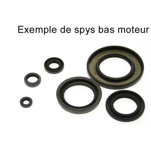 Set seals centauro 574a250sr - set,